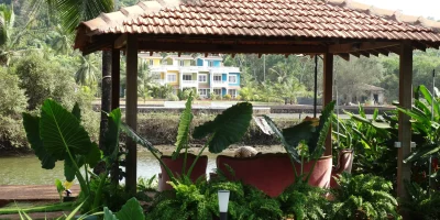 DSC05455
